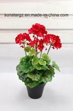 PE Geranium Pot Artificial Flower for Home Decoration (45071)