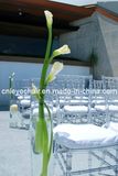 PC Resin Chiavari Chair
