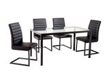 Clear Glass Dining Set Livingroom Furniture (DT054)