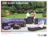 Garden Patio Outdoor PE Rattan Sofa Sets (TG-060)