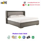 2017 French Modern Solid Wood Leather Fabric Bed for Bedroom (HC-B09)