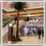 Customized Fiber Glass Artificial Washington Palm Tree for Public Decoration