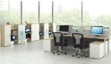 Modern Style Premium Staff Partition Workstations Office Desk (PS-LNPS-04)
