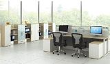 Modern Style Premium Staff Partition Workstations Office Desk (PS-LNPS-04)