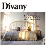 Antique Home Bedroom Furniture Classic Queen Bed (BA-1403)