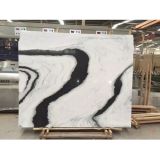 Panda Natural Stone White Marble for Floor or Wall
