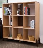 New Design High Qualitystorage Cabinet Bookcase (C10)