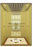 Machine Room Less Gearless Passenger Elevator