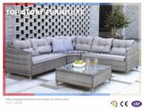 Garden Patio Outdoor PE Rattan Sofa Sets (TG-043)