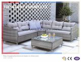 Garden Patio Outdoor PE Rattan Sofa Sets (TG-043)