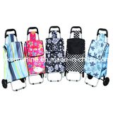 Hand Shopping Trolley (XY-407D1)