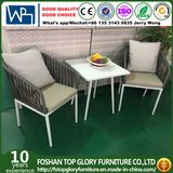 Aluminum Frame Belt Woven Chair and Tea Table Garden Outdoor Furniture (TG-6006)