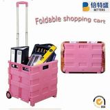 Best Price Full Colorful Plastic Foldable Shopping Trolley