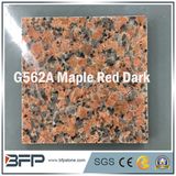 Natural Polished Red Granite/Marble Stone Flooring Tile for Floor Paving