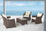 Home Furniture Modern Outdoor Rattan/Wicker Sofa Leisure Garden Furniture