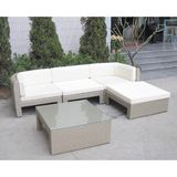 Modern Indoor Wicker Outdoor Furniture (WS-06005)