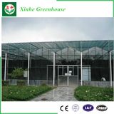 Intelligent Agriculture Glass Greenhouse for Planting