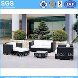 Garden Furniture Wicker/Rattan Leisure Sofa Set for Hotel