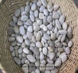 High Quality White Landscaping Polished Pebble Stone
