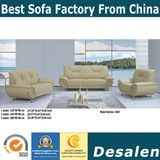 High Quality Top Grain Modern Genuine Leather Sofa (C06)