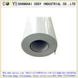 High Glossy PVC Self Adhesive Vinyl Sticker for Digital Printing and Decoration