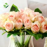 Caroline Rose Artificial Flower for Home Decoration Wedding 