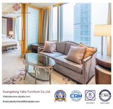 Leisure Hotel Furniture for Living Room Furniture Set (YB-S-28)