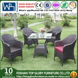 Unfolding Rattan Chair/Rattan Chair and Rattan Chair Set (TG-510)
