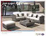 Garden Sectional Outdoor Wicker/Rattan Sofa Set (TG-053)
