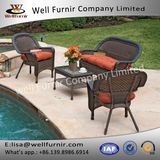 Well Furnir T-022 Adjustable Glide Dark Birch Color Resin Wicker 4PC Seating Group Set