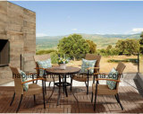 Outdoor /Rattan / Garden / Patio / Hotel Furniture Rattan Chair & Table Set (HS 1004C&HS6177DT)