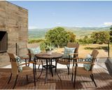Outdoor /Rattan / Garden / Patio / Hotel Furniture Rattan Chair & Table Set (HS 1004C&HS6177DT)