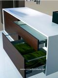 Corian Solid Surface Shelving Modern Bathroom Vanity