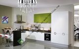 Champagne Lacquer Modern Kitchen Cabinets (zs-212)