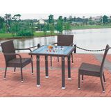 Garden Furniture Outdoor Rattan Wicker Dining Set (WS-06003)