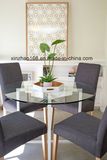 Modern Dining Table and Chair Design /Glass Dining Table