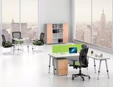 Popluar Steel Leg Design Computer Executive Office Table (HF-BSA06)