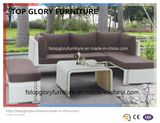 Plastic Garden Sofa, Leisure Sofa, Patio Sofa for Outdoor Furniture (TG-061)