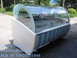 Xsflg-Ice Cream Refriegrator Display Cabinet (CE)
