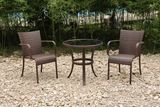 Outdoor Garden Rattan/Wicker Table 2 Chairs Leisure Furniture (FS-2140+ FS-2051)