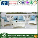 Leisure Garden Outdoor Patio Pool Furniture Wicker Rattan Sitting Room Aluminum Sofa Set (TG-1256)