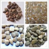 Garden Pebbles