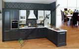 Islands Cabinet PVC Kitchen Cabinet (zs-483)