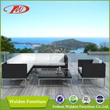 2013 New Design Rattan Sofa (DH-8831)