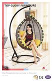 Rattan Hanging Chair Garden Hammock Outdoor Swing (TGDL-001)