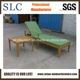 Outdoor Chaise Lounger/Lounger Cushion/Wicker Lounge Chair (SC-B7864)