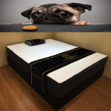 Colour Box Package Luxury Mattress with Your Brand and Logo