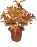 Artificial Plant English IVY Leaves Bruch for Decor