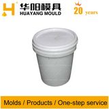 Plastic Injection Mold/Mould for All Kinds of Pail for Packing (HY011)