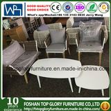 New Design Belt Woven Aluminum Frame Love Seat Sofa Outdoor Furniture